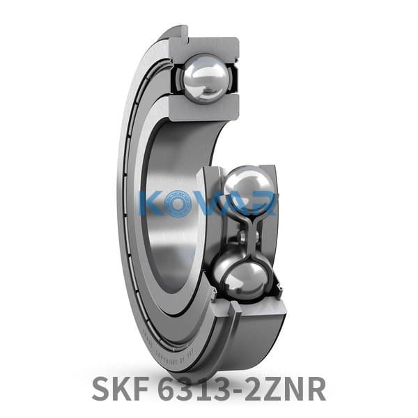 SKF SKF 6313-2ZNR