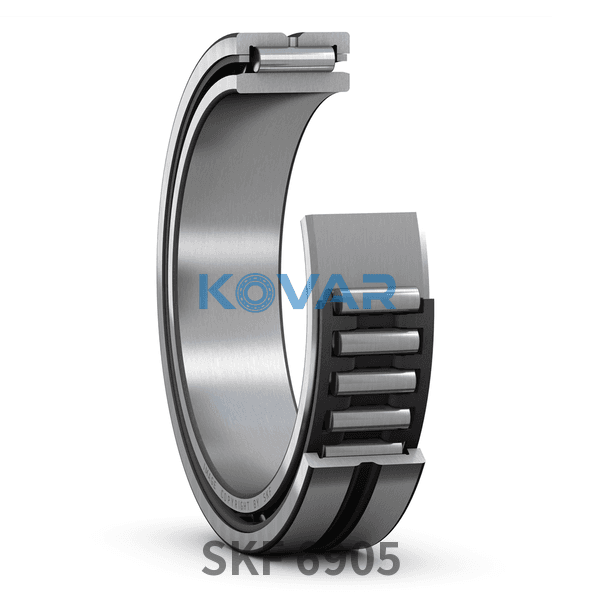 SKF SKF 6905