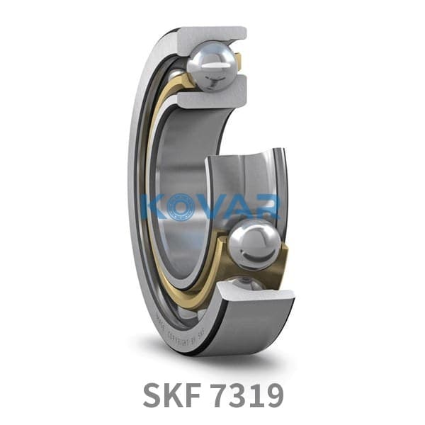 SKF SKF 7319