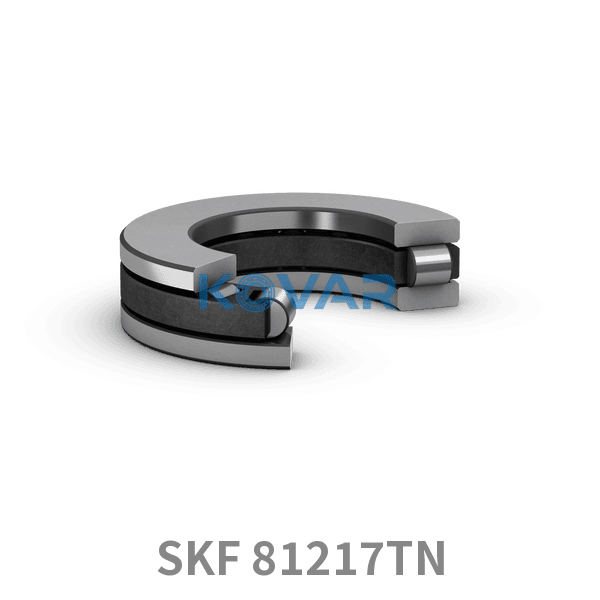 SKF SKF 81217TN