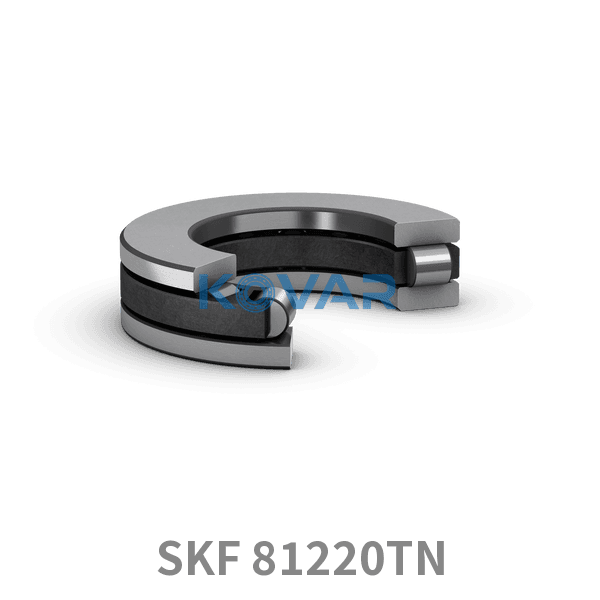 SKF SKF 81220TN