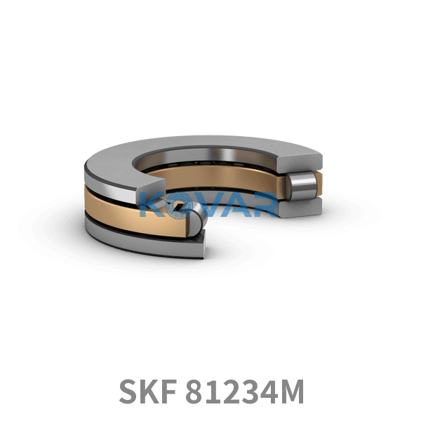 SKF SKF 81234M