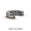 SKF SKF 81234M