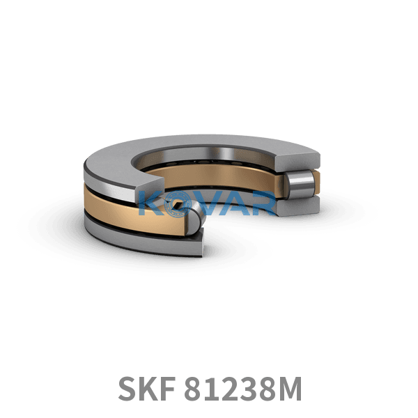 SKF SKF 81238M
