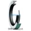 SKF SKF CR36234