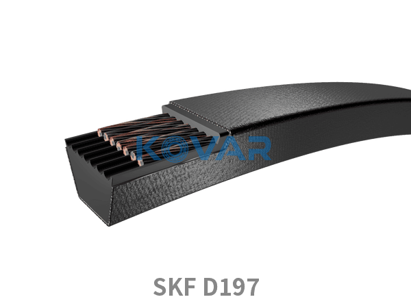 SKF SKF D197