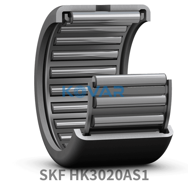 SKF SKF HK3020AS1