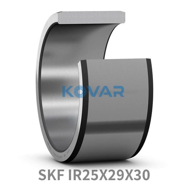 SKF SKF IR25X29X30