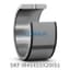 SKF SKF IR45X55X20IS1