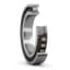 SKF SKF N1010