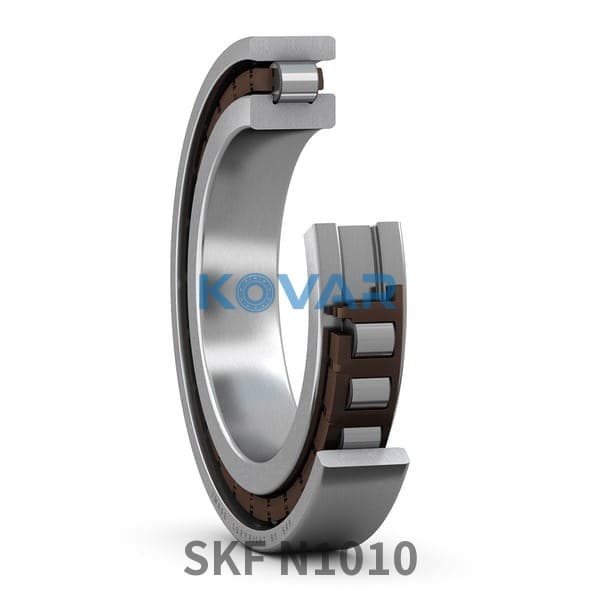 SKF SKF N1010