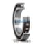 SKF SKF N1010