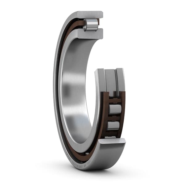 SKF SKF N1016KTNHA/SP