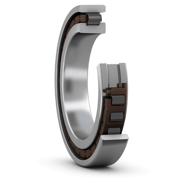 SKF SKF N1019KTN9/HC5SP