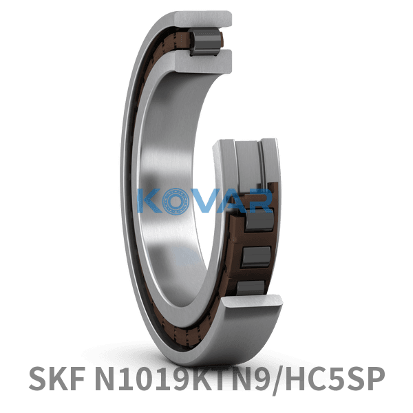 SKF SKF N1019KTN9/HC5SP