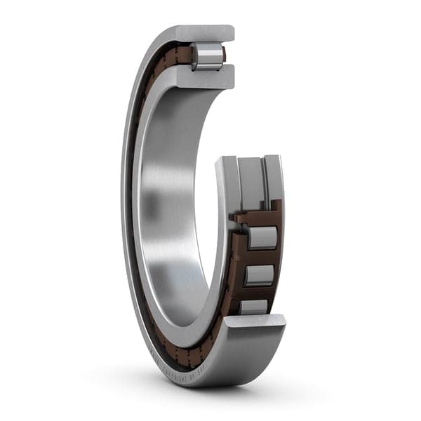 SKF SKF N1019KTN9/SP