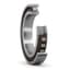 SKF SKF N1019KTN9/SP