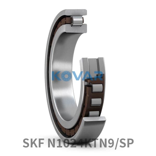 SKF SKF N1024KTN9/SP