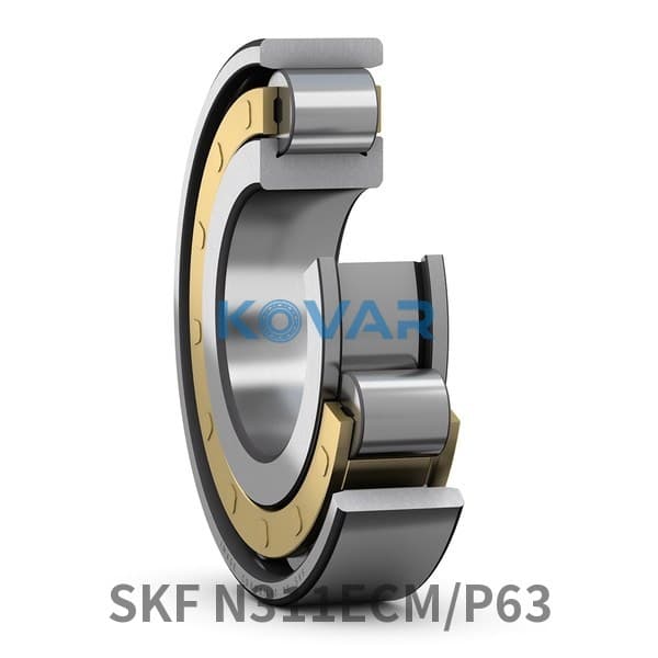 SKF SKF N311ECM/P63