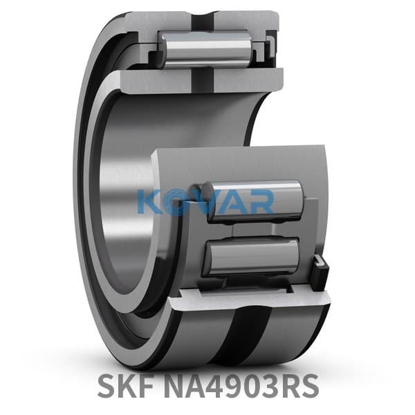 SKF SKF NA4903RS