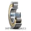 SKF SKF NJ319ECM/C3