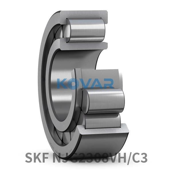 SKF SKF NJG2308VH/C3