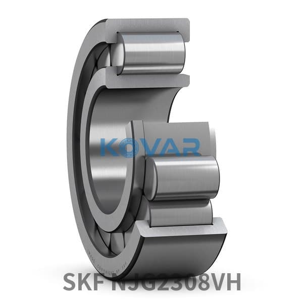 SKF SKF NJG2308VH