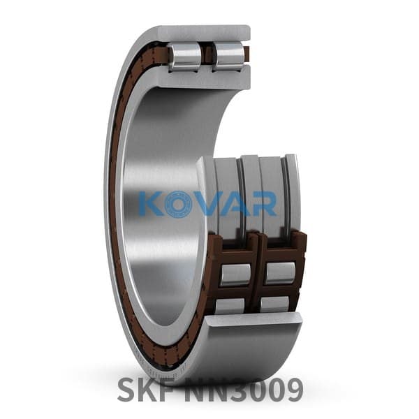 SKF SKF NN3009