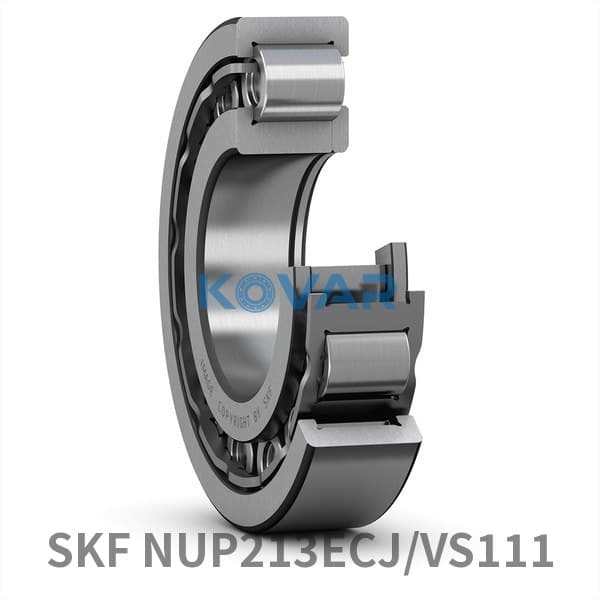 SKF SKF NUP213ECJ/VS111