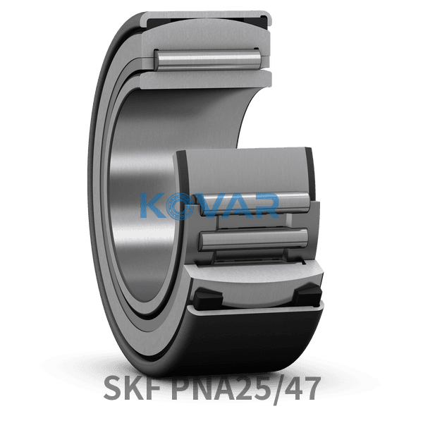 SKF SKF PNA25/47