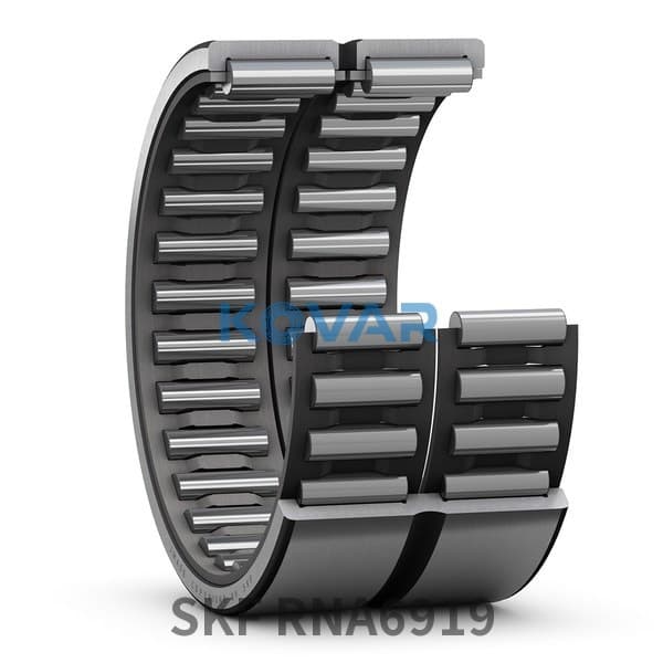 SKF SKF RNA6919