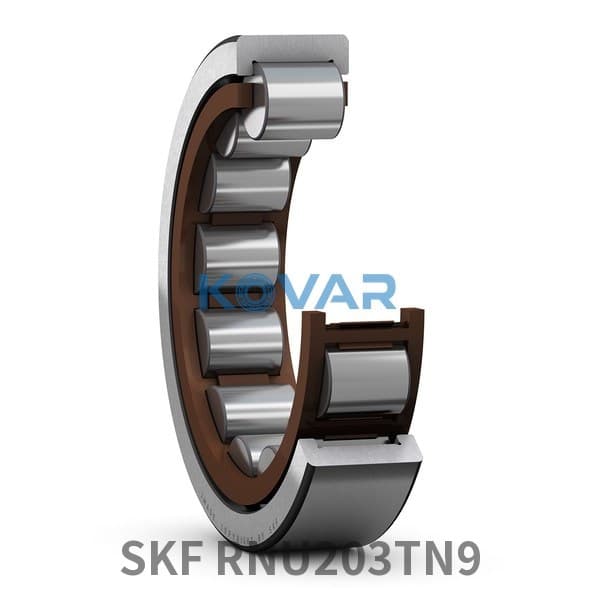 SKF SKF RNU203TN9