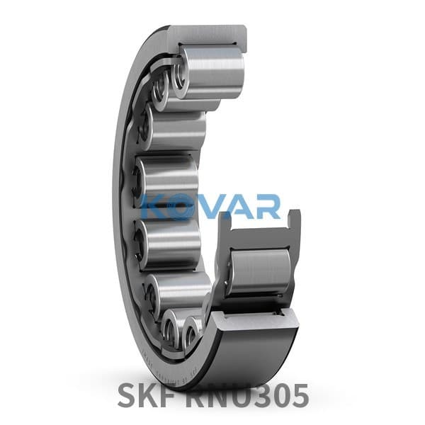 SKF SKF RNU305