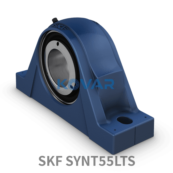 SKF SKF SYNT55LTS