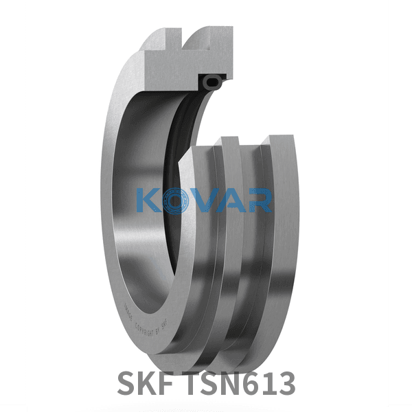 SKF SKF TSN613