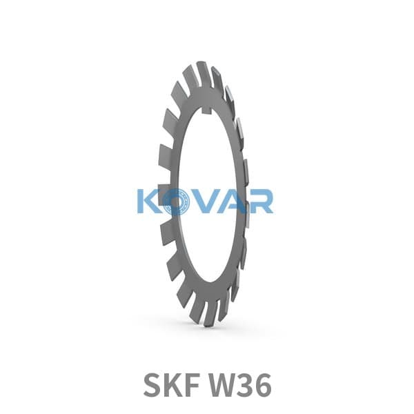 SKF SKF W36