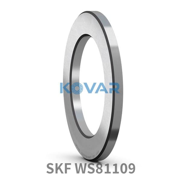 SKF SKF WS81109