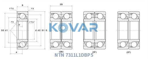 NTN 7311L1DBP5 NTN 7311L1DBP5 Angular Contact Ball Bearing