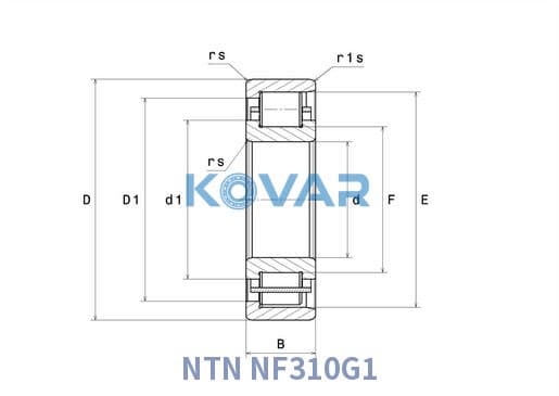 NTN NF310G1 NTN NF310G1 Cylindrical Roller Bearing
