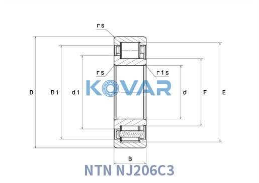NTN NJ206C3 NTN NJ206C3 Cylindrical Roller Bearing