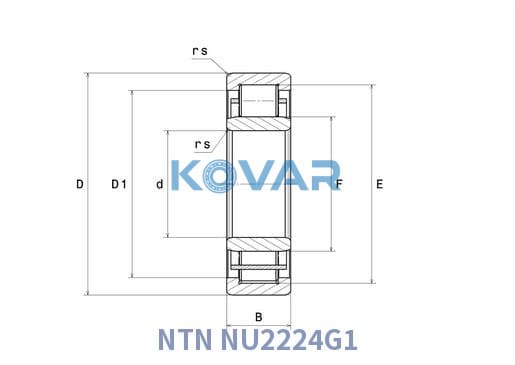 NTN NU2224G1 NTN NU2224G1 Cylindrical Roller Bearing