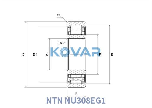 NTN NU308EG1 NTN NU308EG1 Cylindrical Roller Bearing