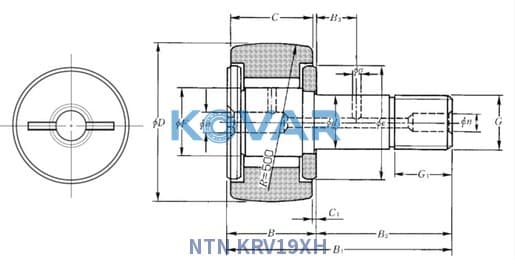 NTN KRV19XH NTN KRV19XH Stud Type Track Roller