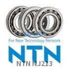 NTN NJ213 NTN NJ213 Cylindrical Roller Bearing