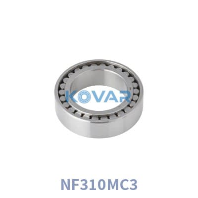 NSK NF310MC3 NSK NF310MC3 Cylindrical Roller Bearing
