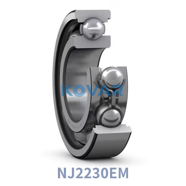 NSK NJ2230EM NSK NJ2230EM Deep Groove Ball Bearing