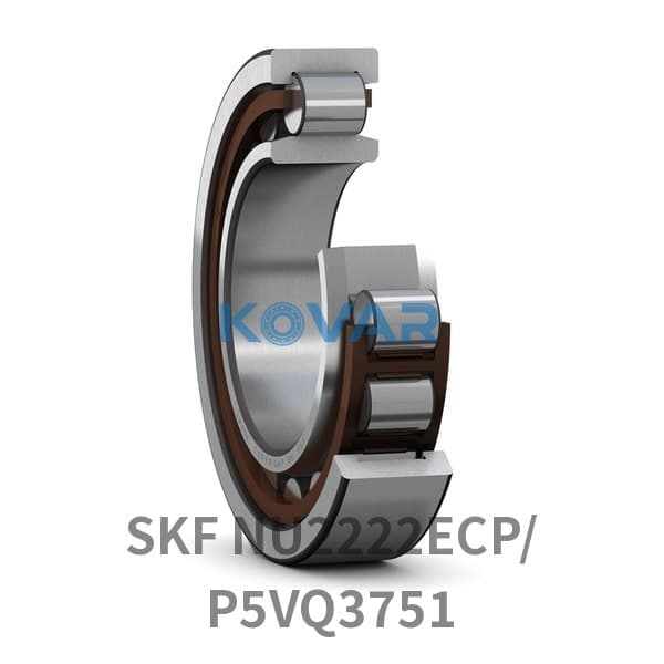 SKF SKF NU2222ECP/P5VQ3751